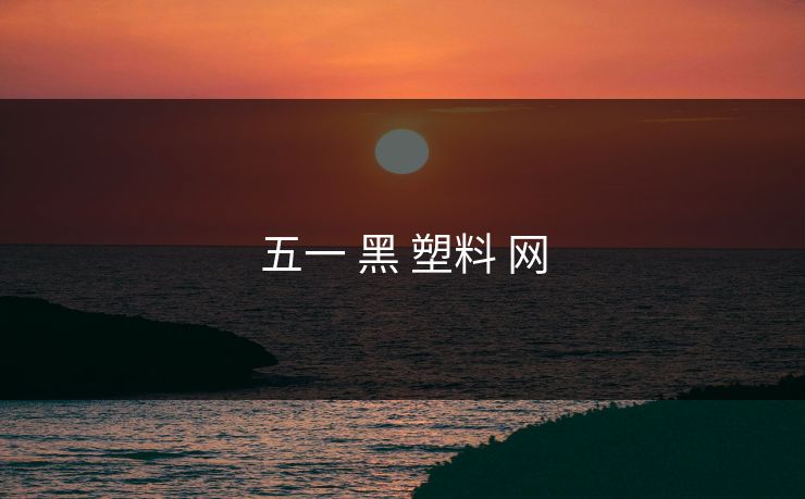 五一 黑 塑料 网