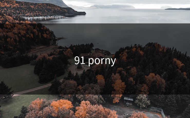 91 porny 91 porny